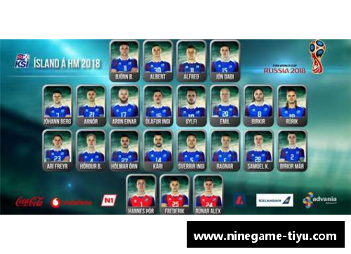 冰岛足球队23名球员:挑战欧洲巨人,赢得尊重 冰岛足球队23名球员:挑战欧洲巨人,赢得尊重