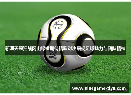 新泻天鹅迎战冈山绿雉期待精彩对决展现足球魅力与团队精神